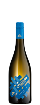 Sauvignon Blanc trocken QbA 